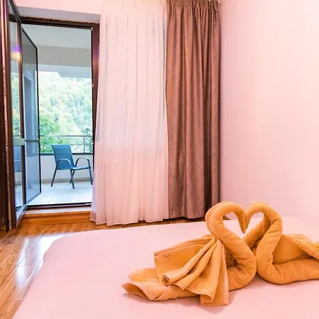 Apartament Rodia *